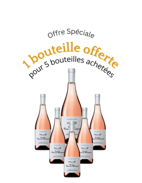 Offre Spéciale AOC Gaillac Rosé