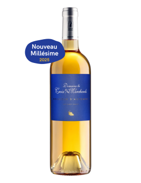 Douceur d'Automne - Blanc doux