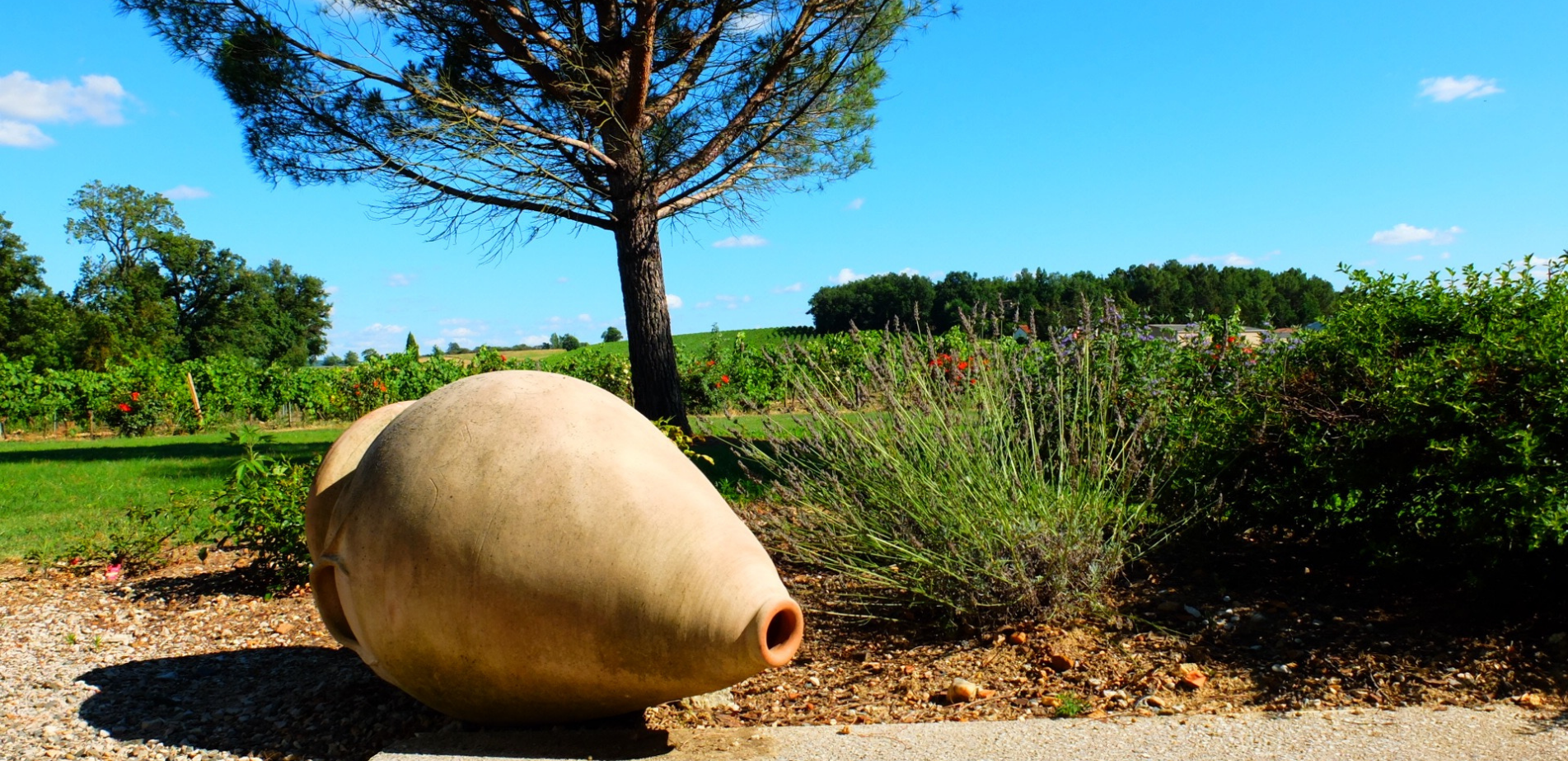 Terroir de Graves & Plateaux calcaires